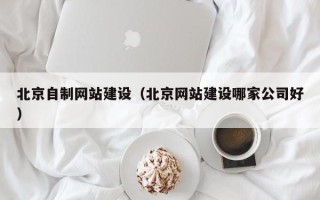 湘潭北京自制网站建设（北京网站建设哪家公司好）